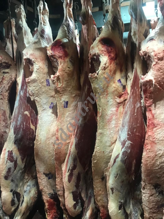 Предлагаем мясо говядины в ассортименте 