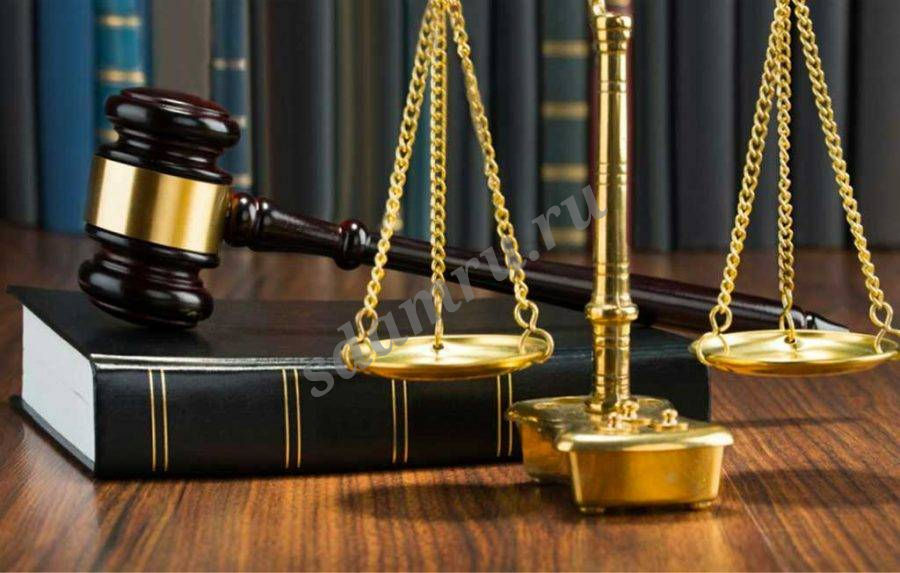 Услуги юриста для политиков в Санкт-Петербурге